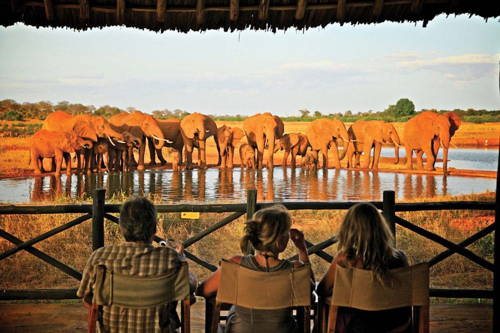 An image depicted guest chilling at a watehhole while watching wildlife from the Tsavo East Voi Safari Lodge.