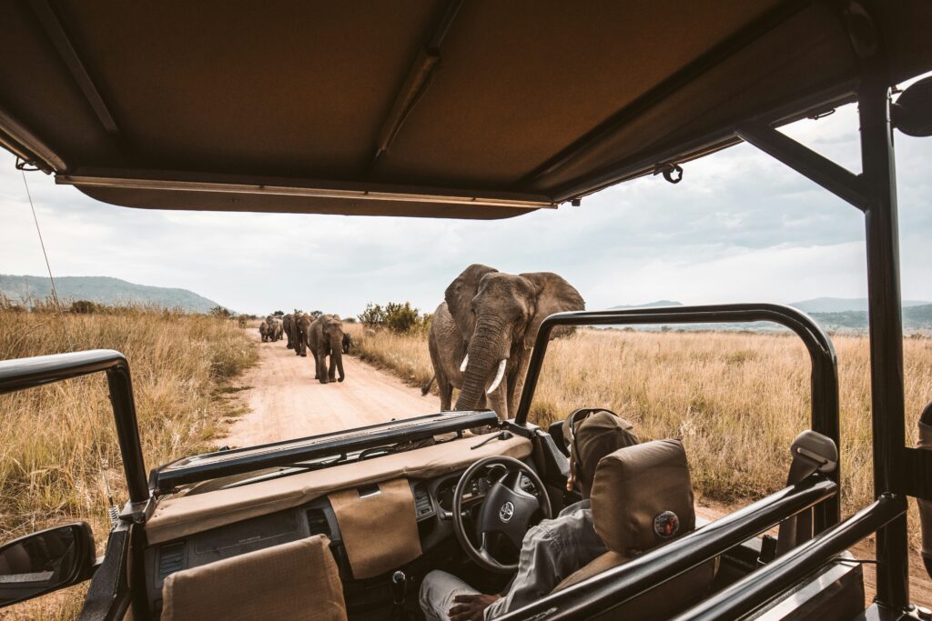 The top 12 tour destinations in Kenya.